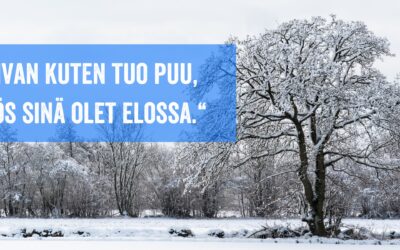 Elämä – olet elossa 