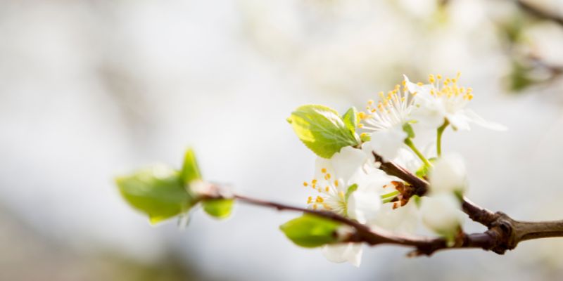 Ymmärrystä, toipumista ja irti päästämistä