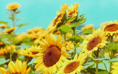 Omainen – muista hakea tukea myös itsellesi.