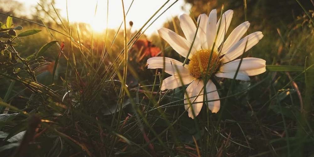 Vertaistuesta vapaaehtoiseksi